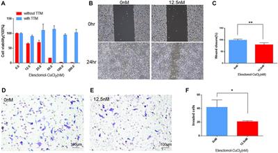 Identification of a prognostic model using cuproptosis-related genes in uveal melanoma